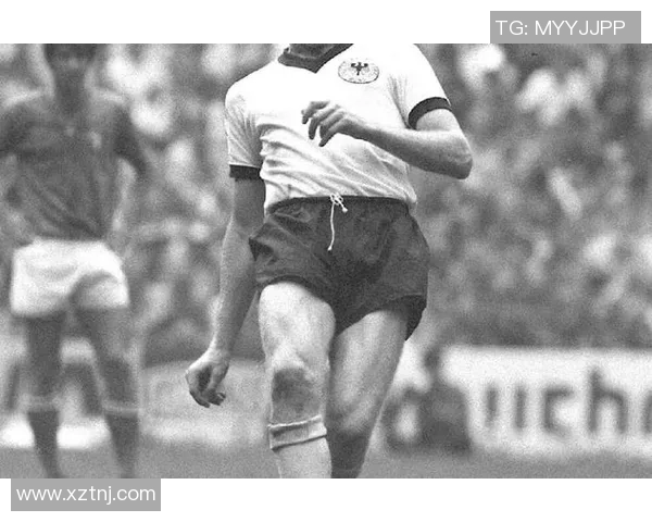 最新足球球星学历一览：知名球员教育背景大揭秘